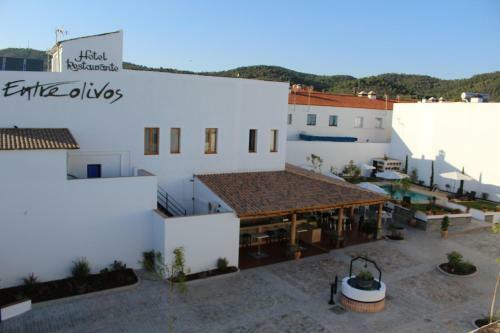 Hotel Entreolivos