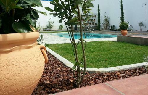 Hotel Entreolivos