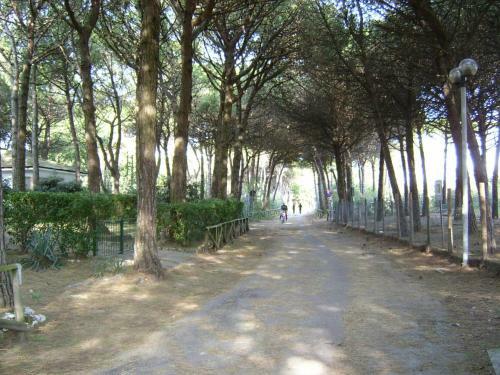 Apartment In Eraclea Mare 25694