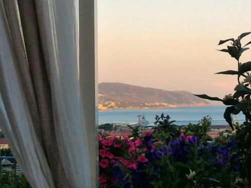 Hostal Dreams Guest House