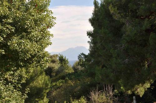 Apartamento Residenza Le Rose Villa D'arte