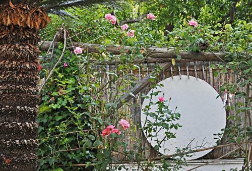 Apartamento Residenza Le Rose Villa D'arte