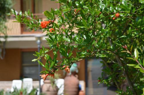 Hotel Albergo Leonardo