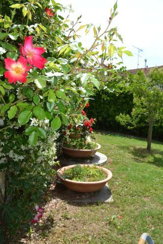 Agroturismo Agriturismo La Ghiraia