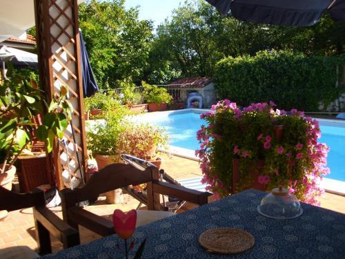 B&B Pane & Tulipani