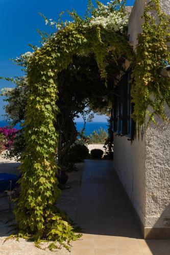Terrazza Sul Mare