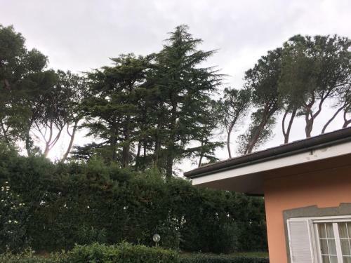 Villagi� B&B