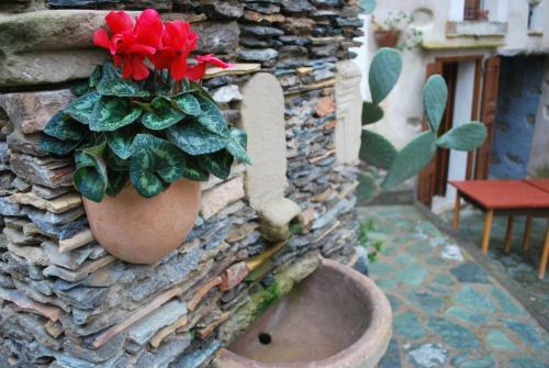 Hotel Albergo Diffuso Ecobelmonte