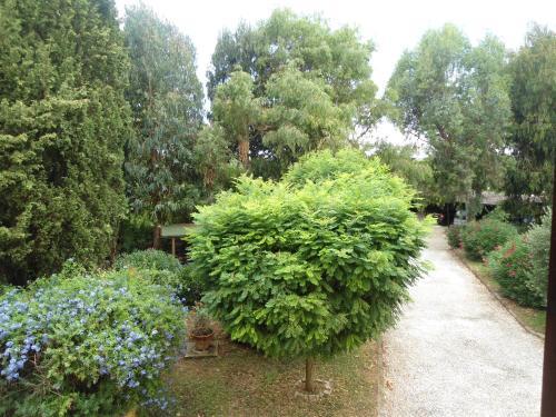 Agroturismo Agriturismo Le Pescine