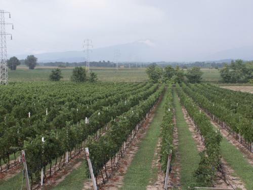 Agroturismo Agriturismo Colombarola