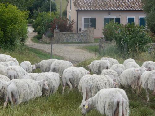 Agroturismo Piane Del Bagno