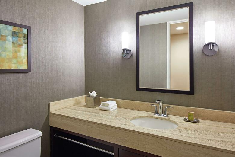 Hotel Hilton Houston Plaza/medical Center