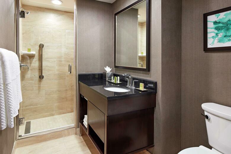 Hotel Hilton Houston Plaza/medical Center
