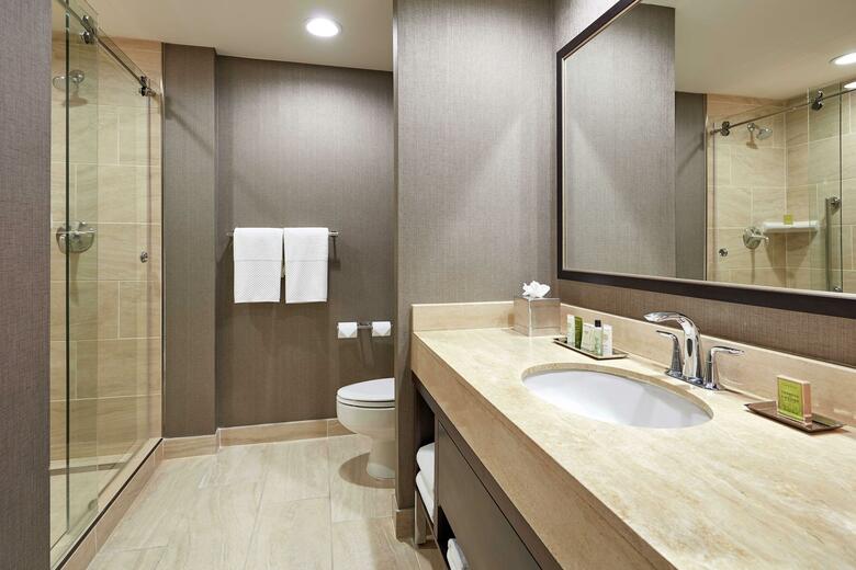 Hotel Hilton Houston Plaza/medical Center