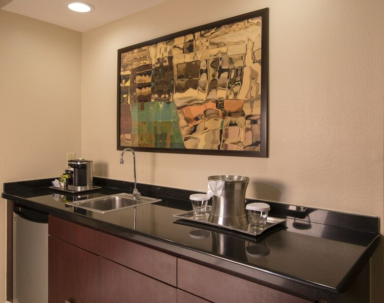 Hotel Hilton Houston Plaza/medical Center