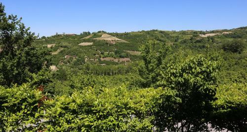 Agroturismo Agriturismo Al Brich