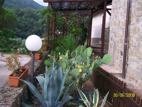Agroturismo Country House Il Sambro