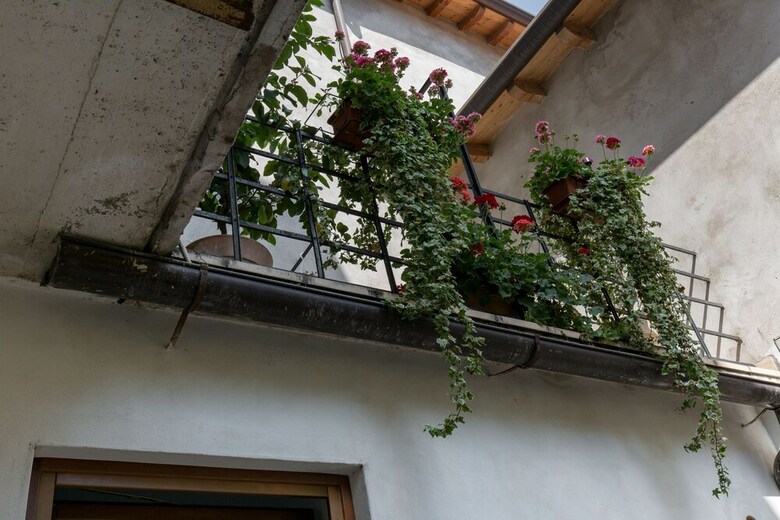 Bed & Breakfast Veronetta House