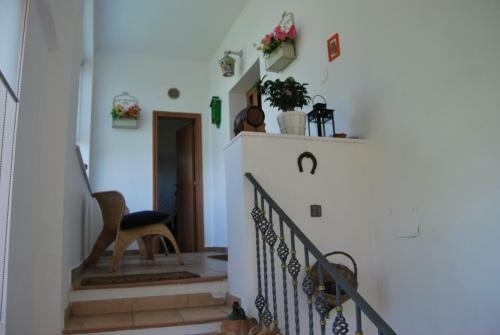 Hostal Sorrento Studios