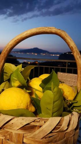 Hostal Sorrento Studios