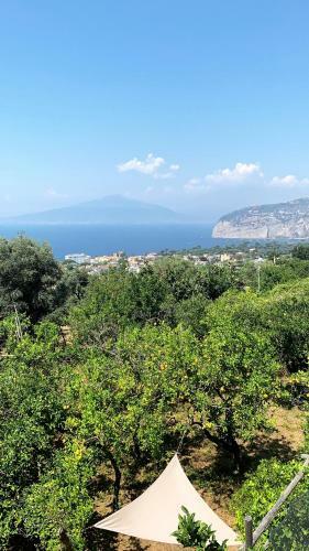Hostal Sorrento Studios