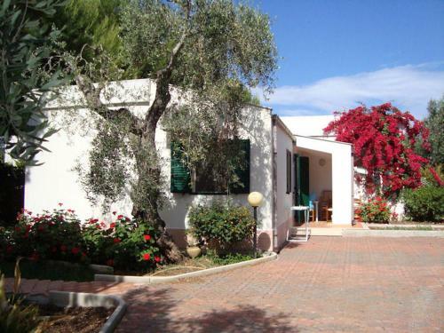 Apartamento Residence Alba