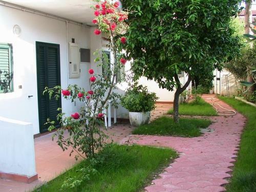 Apartamento Residence Alba