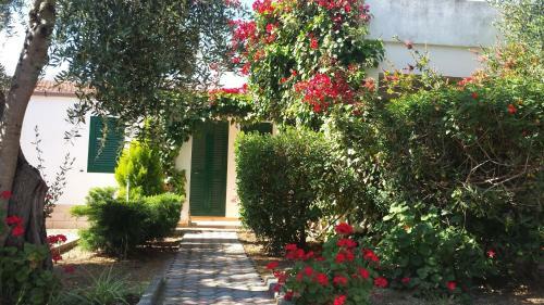 Apartamento Residence Alba