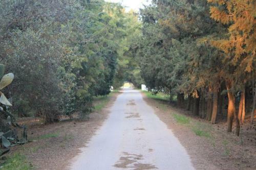 Agroturismo Masseria Incantalupi