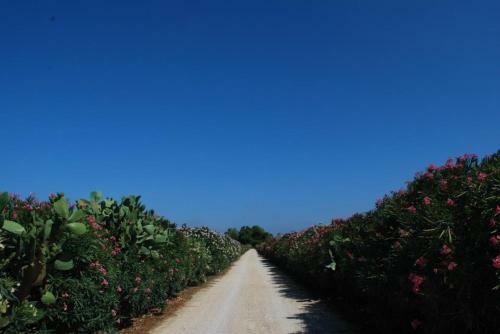 Agroturismo Masseria Incantalupi