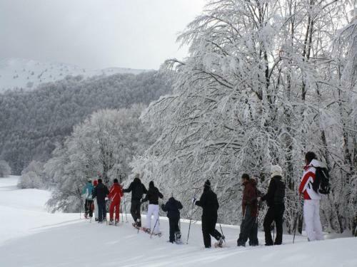 B&B Sole Del Pollino