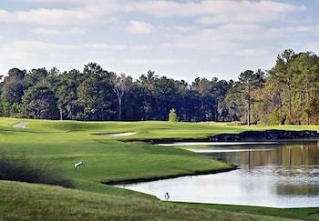 Hotel Renaissance Resort At World Golf Village