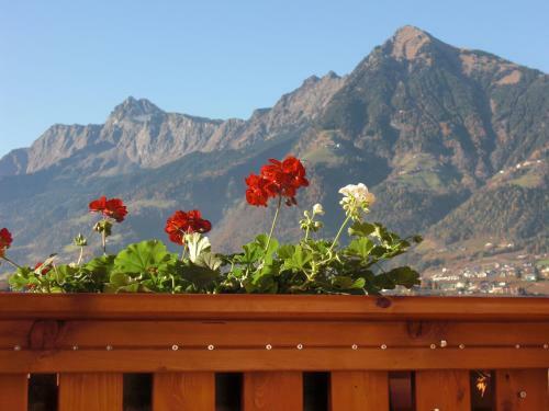 Bed & Breakfast Garni Unterhaslerhof