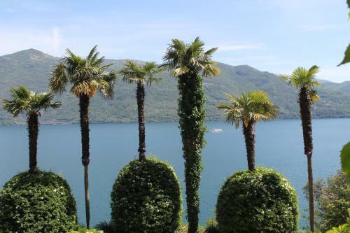 Casale Amore