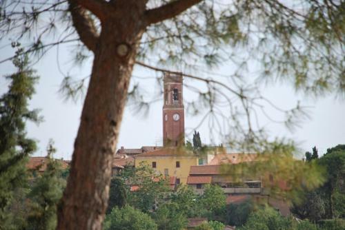 Agroturismo Romitorio Di Castiglione Del Lago