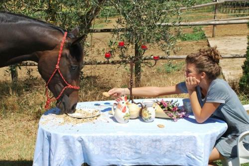 Agroturismo Romitorio Di Castiglione Del Lago