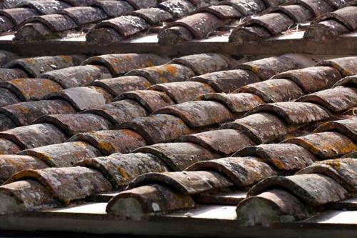 Agroturismo Romitorio Di Castiglione Del Lago