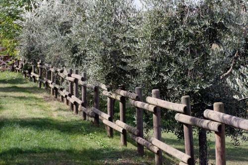 Agroturismo Romitorio Di Castiglione Del Lago