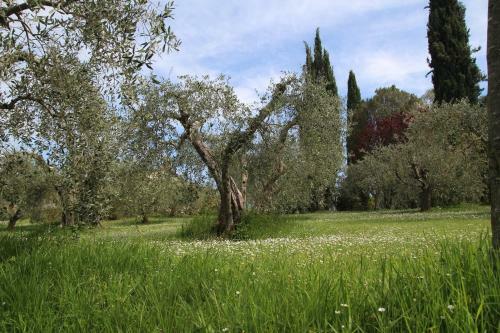 Agroturismo Romitorio Di Castiglione Del Lago