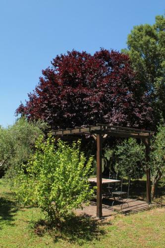 Agroturismo Romitorio Di Castiglione Del Lago