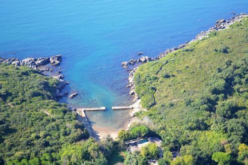 B&B Lineablu