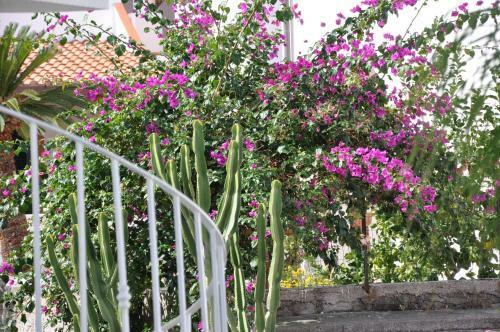 Apartamento Villa Searose