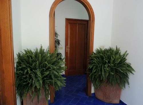 Hostal La Tavolozza Residence