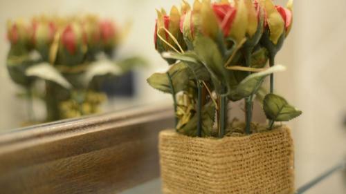 Bed & Breakfast Terre Del Sud