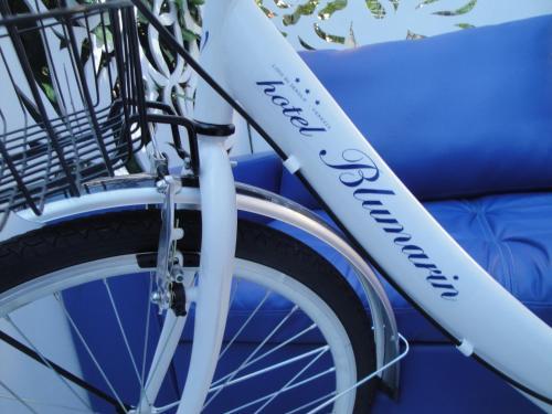 Hotel Boutique Blumarin