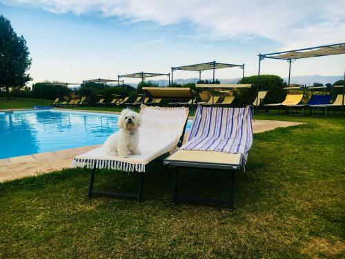 Agroturismo Agriturismo Il Belvedere