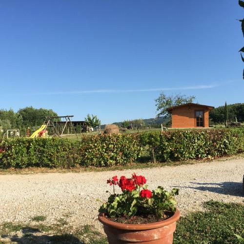 Agroturismo Agriturismo Il Mulinaccio