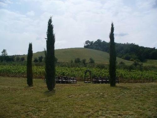 Agroturismo Agriturismo Il Mulinaccio