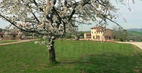 Agroturismo Agriturismo Il Mulinaccio