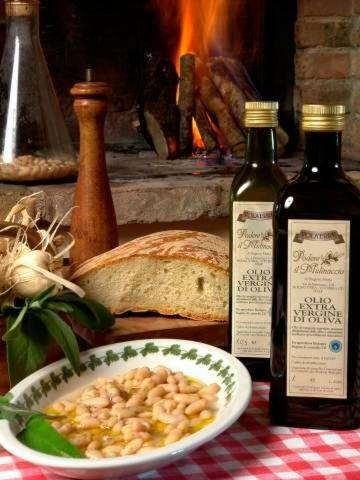 Agroturismo Agriturismo Il Mulinaccio